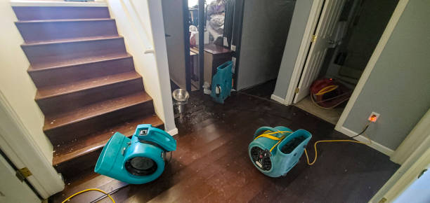 Best Basement water damage restoration  in Hicksville, OH