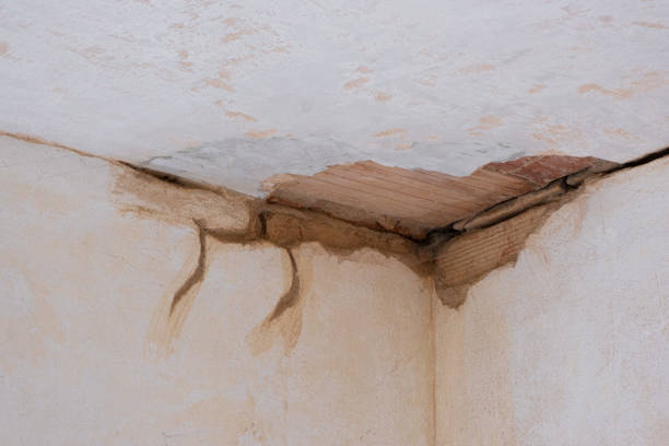 Best Emergency water damage restoration  in Hicksville, OH