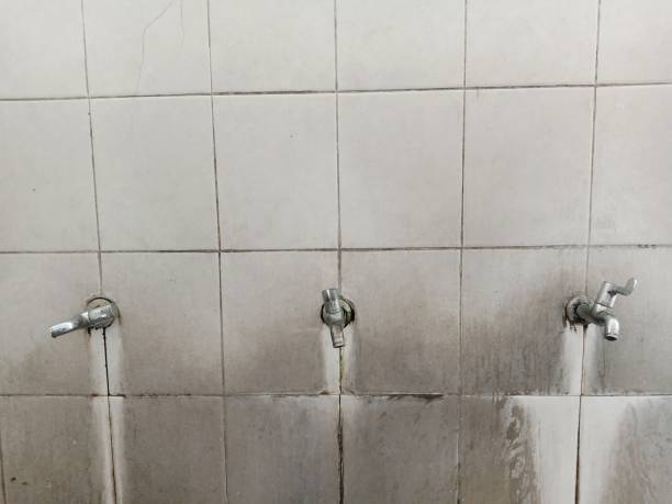 Best Local water damage restoration  in Hicksville, OH