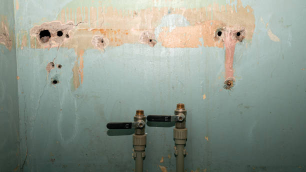 Best Commercial water damage restoration  in Hicksville, OH