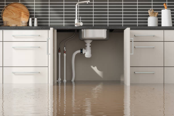 Best Water damage contractors near me  in Hicksville, OH