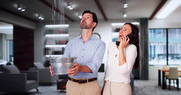 Best Flood damage cleanup  in Hicksville, OH